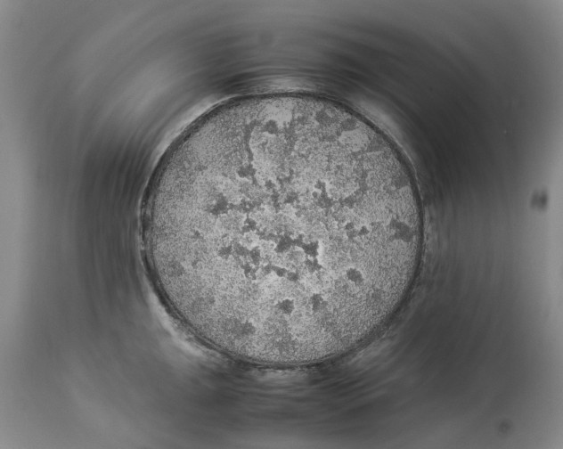 X0000114171047200911051523