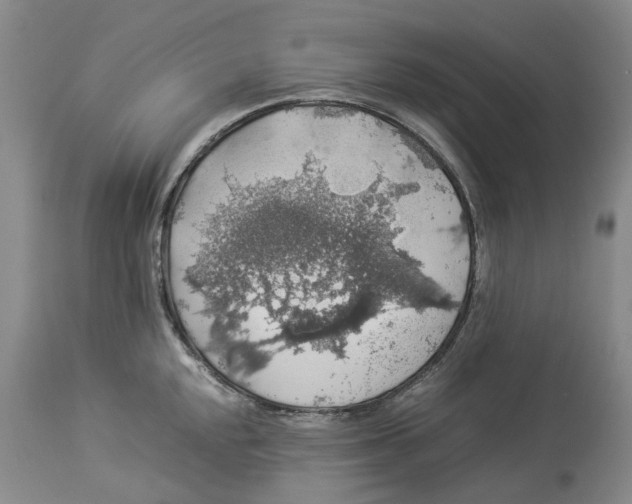 X0000114171048200911051523