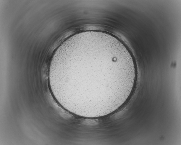 X0000114171049200911051523