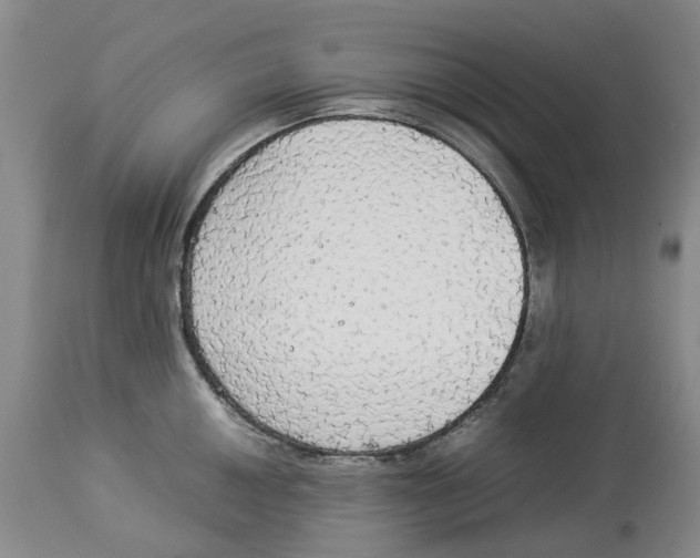 X0000114171050200911051523