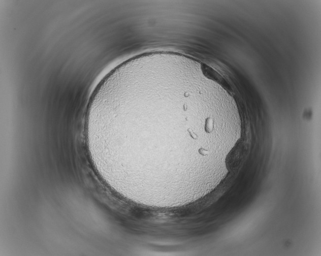 X0000114171052200911051523