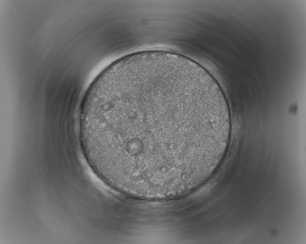 X0000114171054200911051523