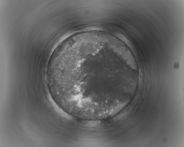 X0000114171055200911051523