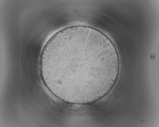 X0000114171056200911051523