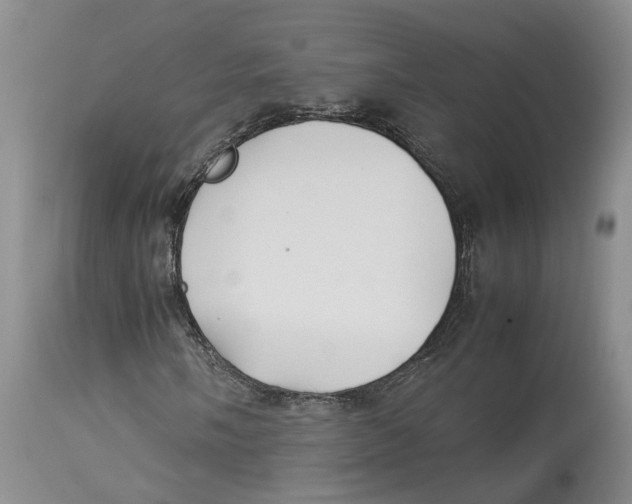 X0000114171058200911051522