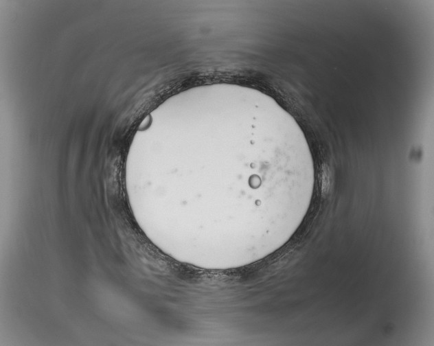 X0000114171059200911051522