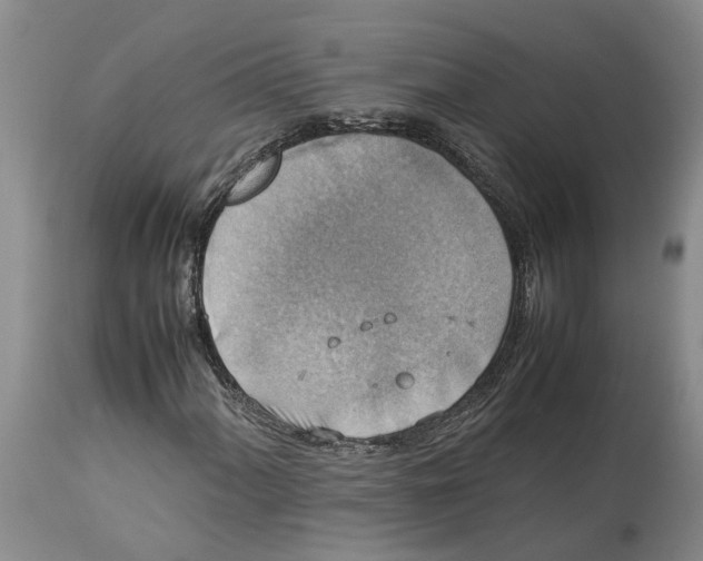 X0000114171060200911051522