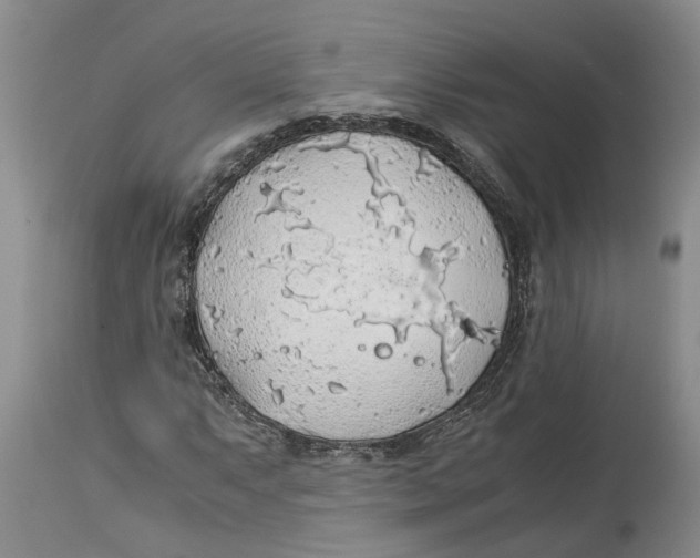 X0000114171063200911051522