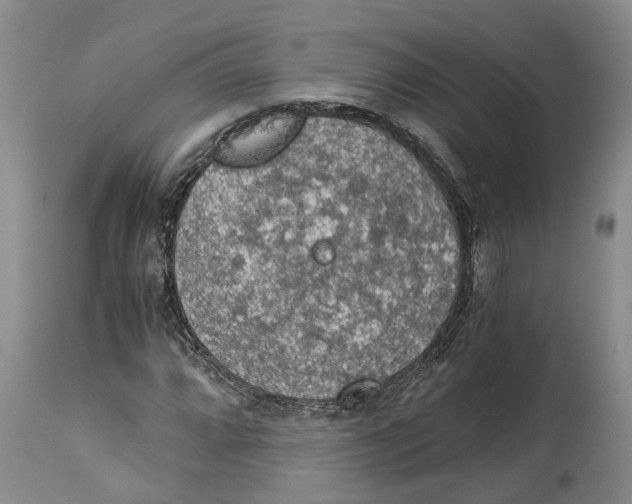 X0000114171064200911051522