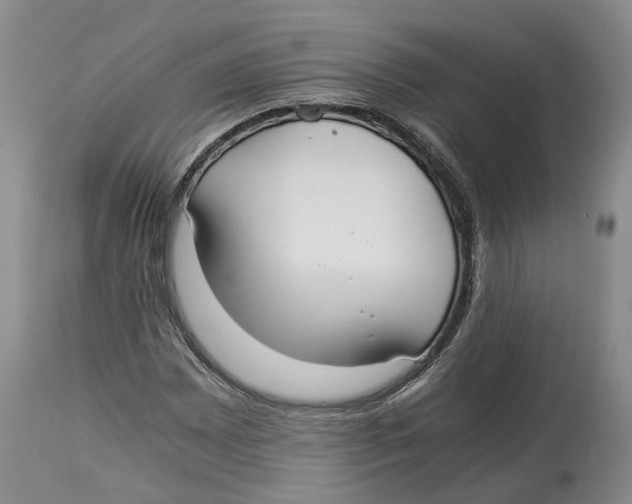 X0000114171065200911051522