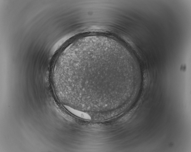 X0000114171066200911051522