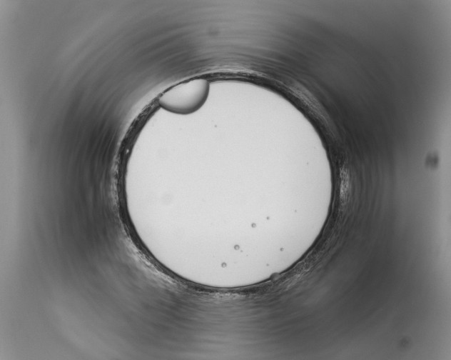 X0000114171068200911051522