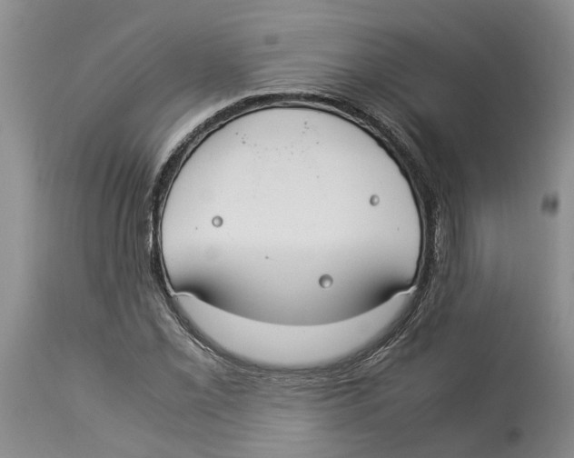 X0000114171069200911051522