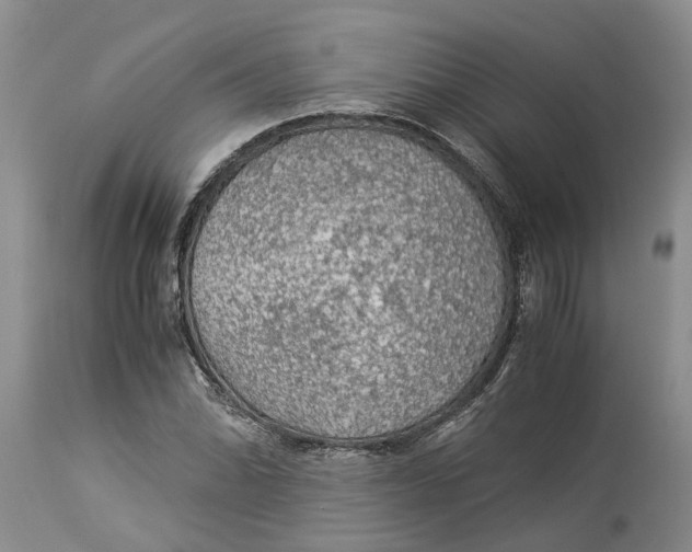 X0000114171070200911051522