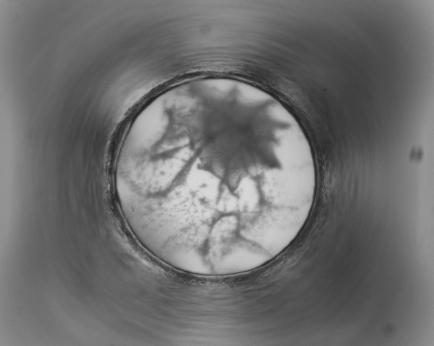 X0000114171071200911051522