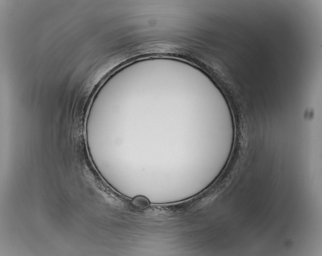 X0000114171073200911051522