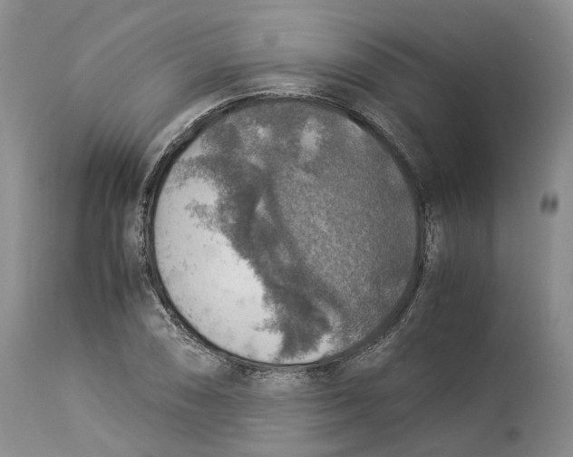 X0000114171074200911051522