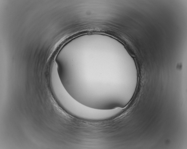 X0000114171075200911051522