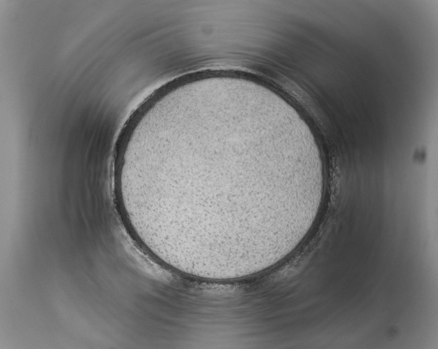 X0000114171076200911051522