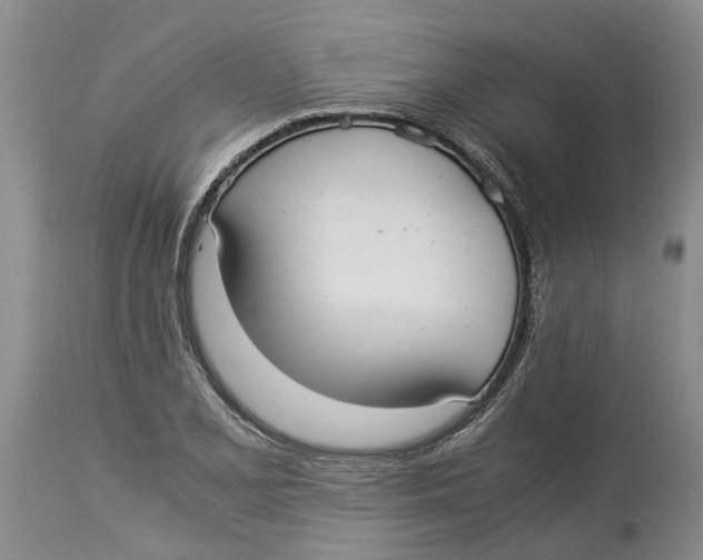 X0000114171077200911051522