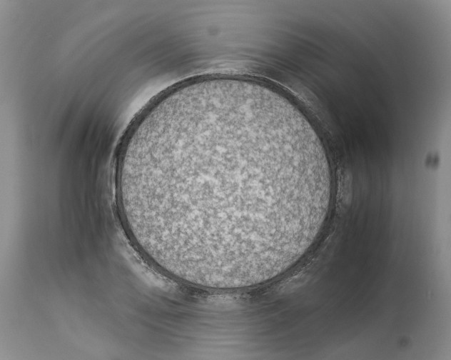 X0000114171078200911051522