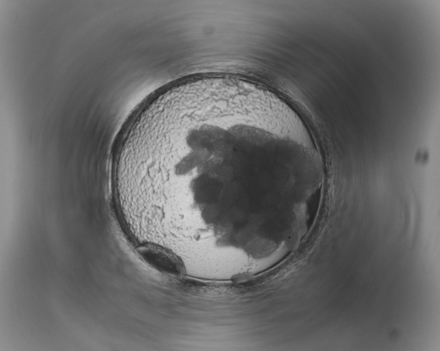 X0000114171079200911051522