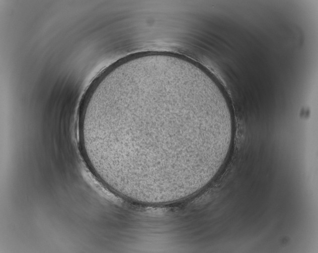 X0000114171080200911051522