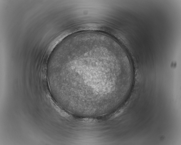 X0000114171081200911051522