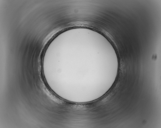 X0000114171082200911051522