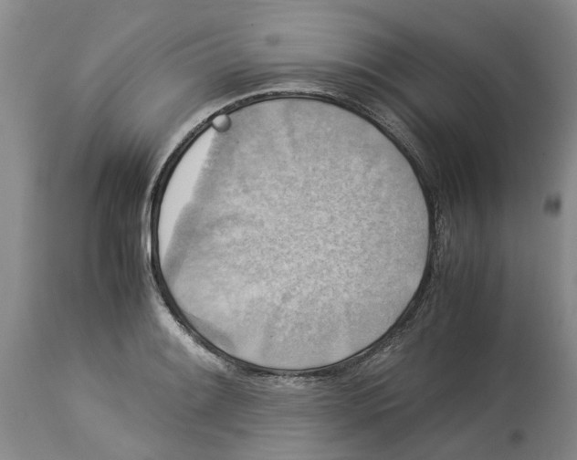 X0000114171084200911051522