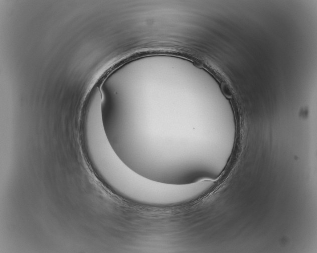 X0000114171085200911051522