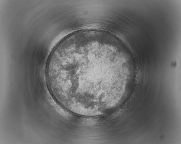 X0000114171086200911051522