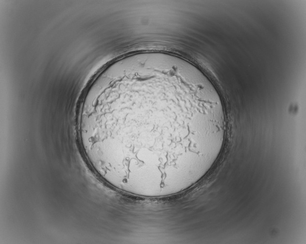 X0000114171087200911051522