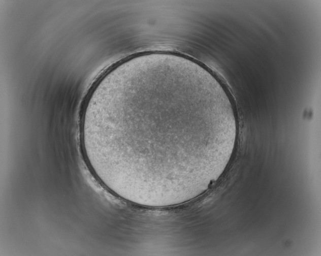 X0000114171088200911051522