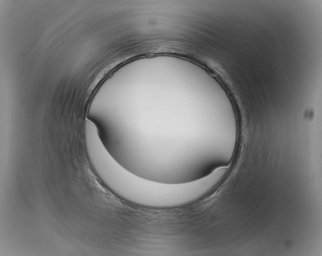 X0000114171089200911051522