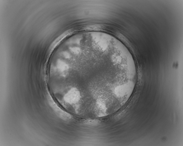 X0000114171090200911051522