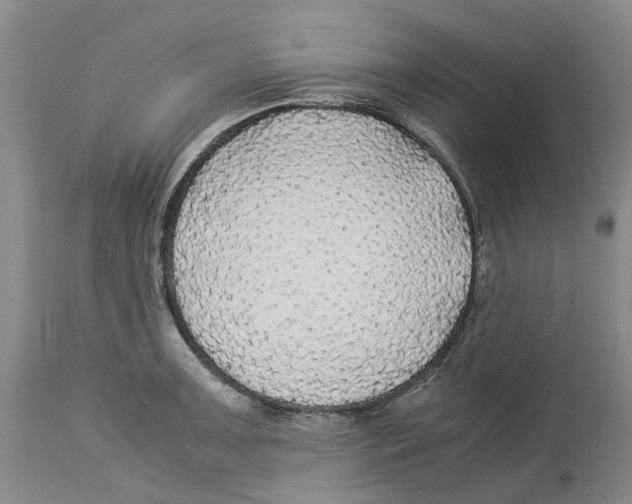 X0000114171091200911051522