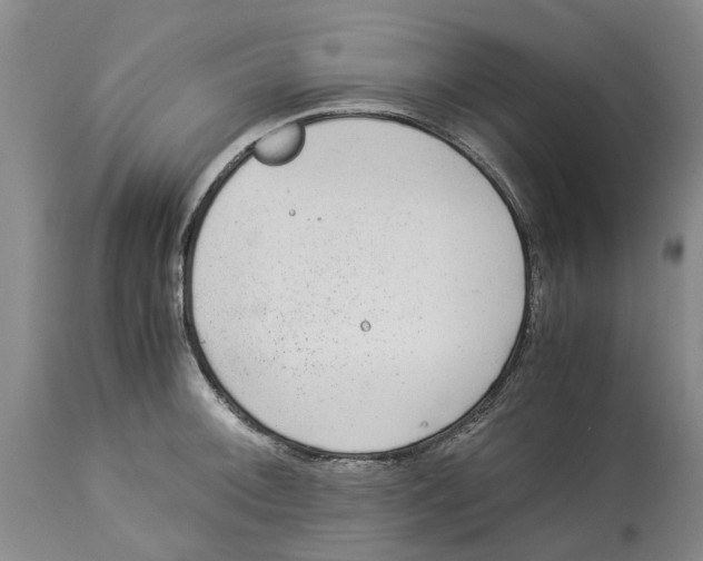 X0000114171092200911051522