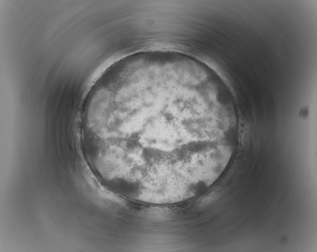 X0000114171094200911051522