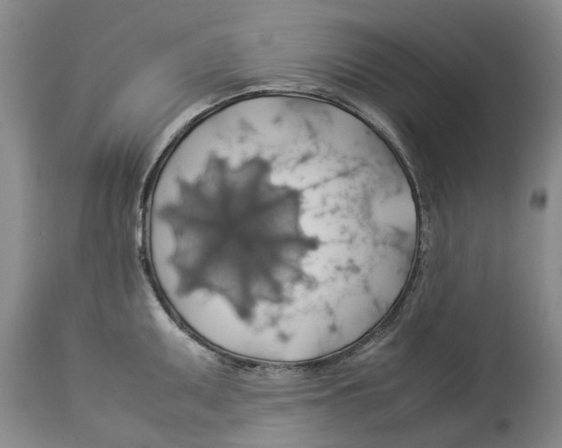 X0000114171095200911051522