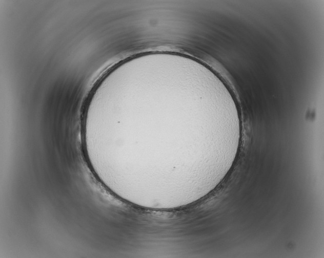 X0000114171096200911051522