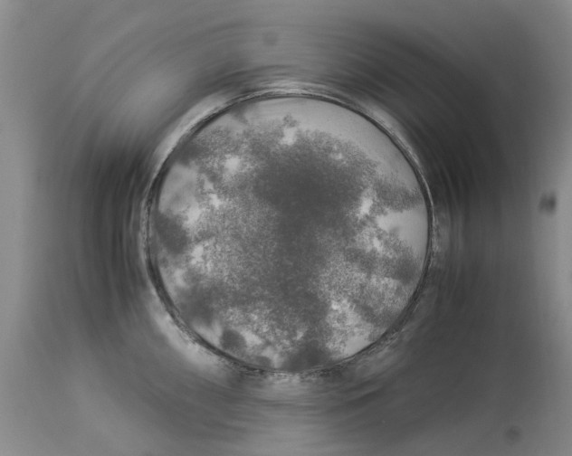 X0000114171098200911051522