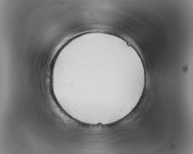 X0000114171099200911051522