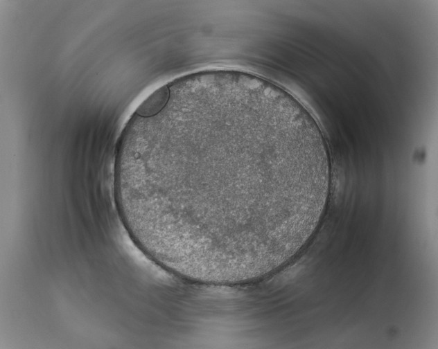 X0000114171100200911051522