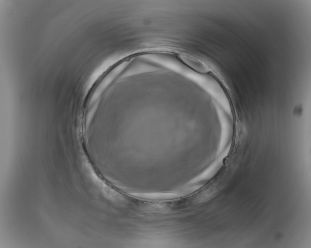 X0000114171101200911051522