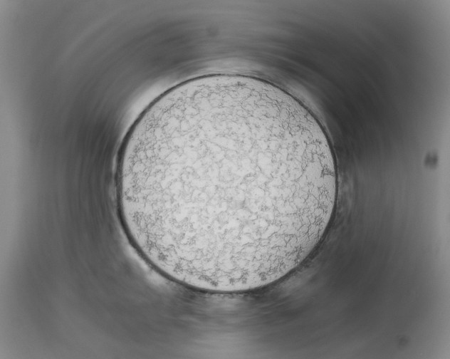 X0000114171103200911051522