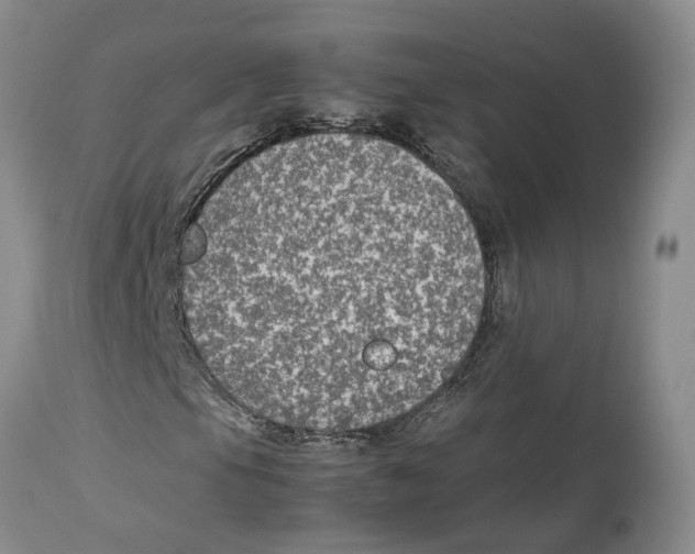 X0000114171105200911051521