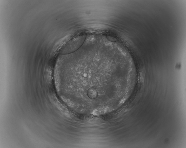 X0000114171108200911051521