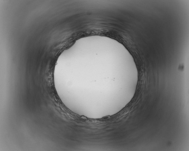 X0000114171109200911051521