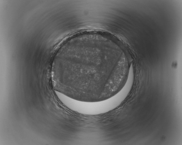 X0000114171110200911051521